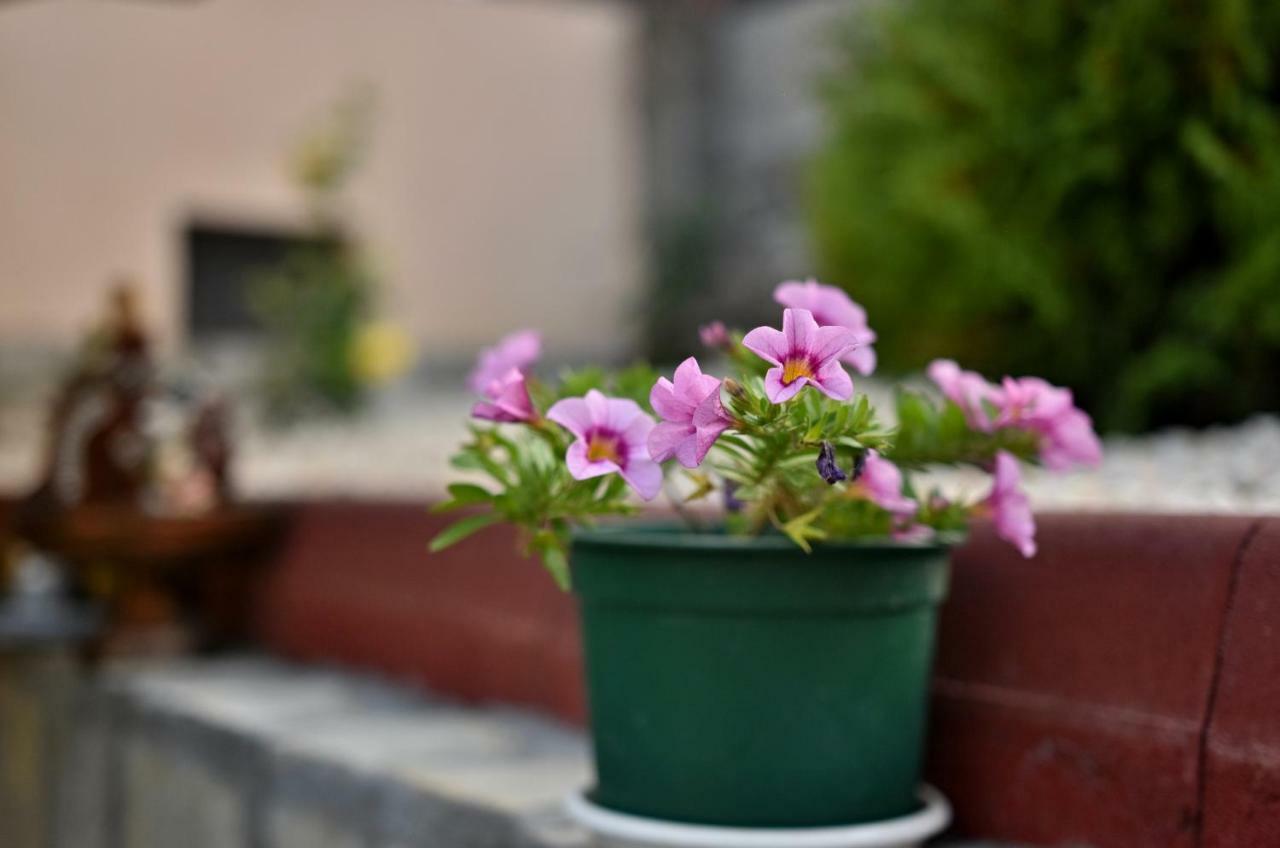 Saint Maria Guest House ヴェリングラード エクステリア 写真